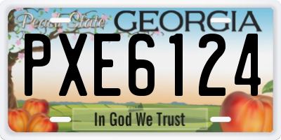 GA license plate PXE6124