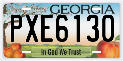 GA license plate PXE6130