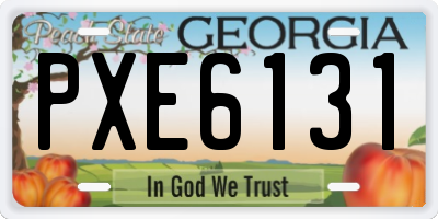 GA license plate PXE6131