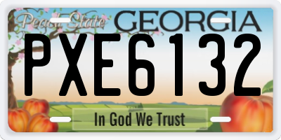 GA license plate PXE6132