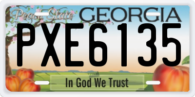 GA license plate PXE6135