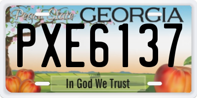 GA license plate PXE6137