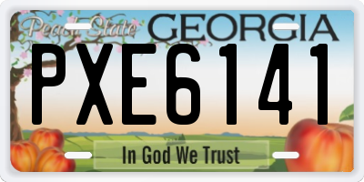 GA license plate PXE6141
