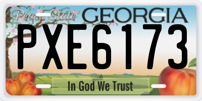 GA license plate PXE6173