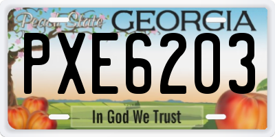 GA license plate PXE6203
