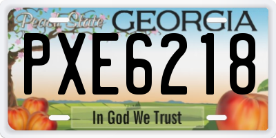 GA license plate PXE6218