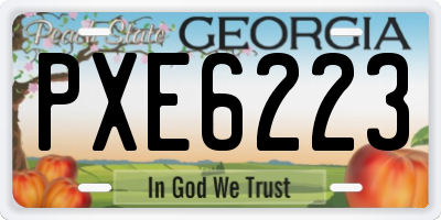 GA license plate PXE6223