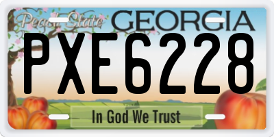 GA license plate PXE6228