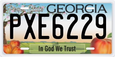 GA license plate PXE6229