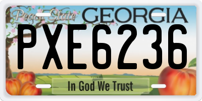 GA license plate PXE6236