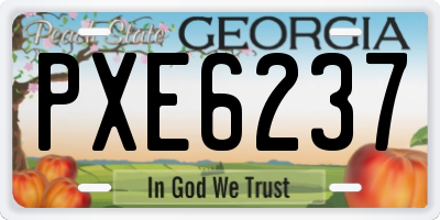 GA license plate PXE6237