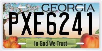 GA license plate PXE6241