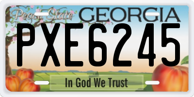 GA license plate PXE6245