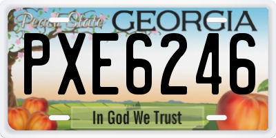 GA license plate PXE6246