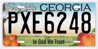 GA license plate PXE6248