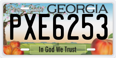 GA license plate PXE6253