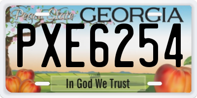 GA license plate PXE6254