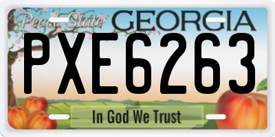 GA license plate PXE6263