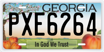 GA license plate PXE6264