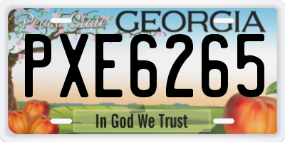 GA license plate PXE6265