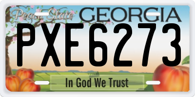 GA license plate PXE6273