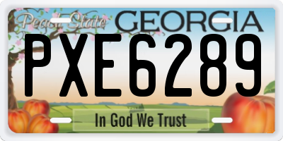 GA license plate PXE6289
