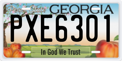 GA license plate PXE6301