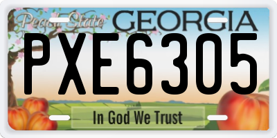 GA license plate PXE6305