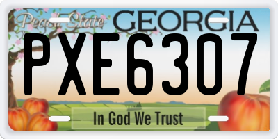 GA license plate PXE6307