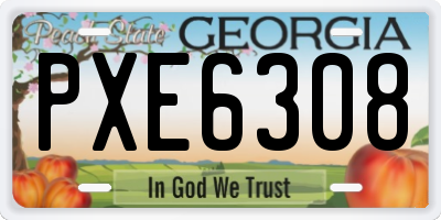 GA license plate PXE6308