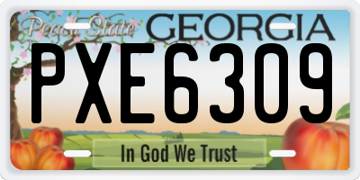 GA license plate PXE6309