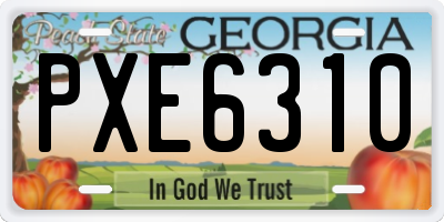 GA license plate PXE6310