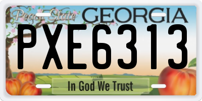 GA license plate PXE6313