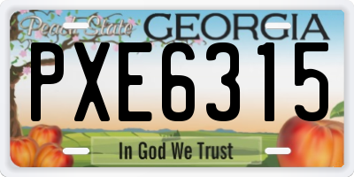 GA license plate PXE6315