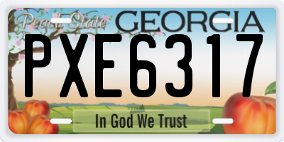 GA license plate PXE6317