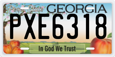 GA license plate PXE6318