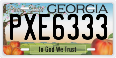 GA license plate PXE6333