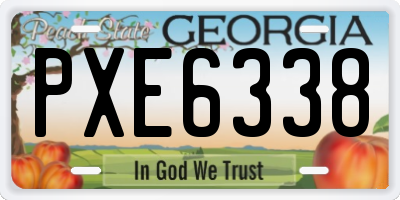 GA license plate PXE6338
