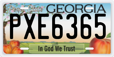 GA license plate PXE6365