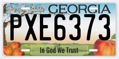 GA license plate PXE6373