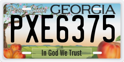 GA license plate PXE6375