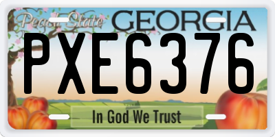 GA license plate PXE6376