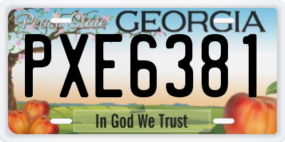 GA license plate PXE6381