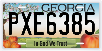 GA license plate PXE6385