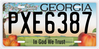 GA license plate PXE6387