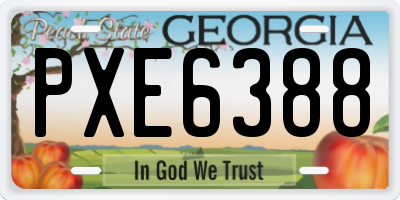 GA license plate PXE6388
