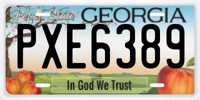 GA license plate PXE6389