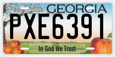 GA license plate PXE6391