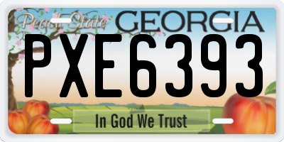 GA license plate PXE6393