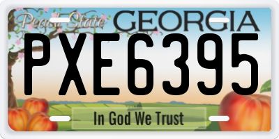 GA license plate PXE6395